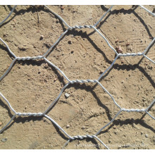 Galvanized Iron Wire Hexagonal Wire Netting Birds Mesh (anjia-139)